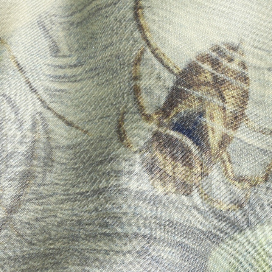 ETRO Schal POND