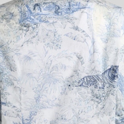 ETRO Hemd ELEFANT