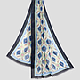 ETRO Schal SHAAL-N